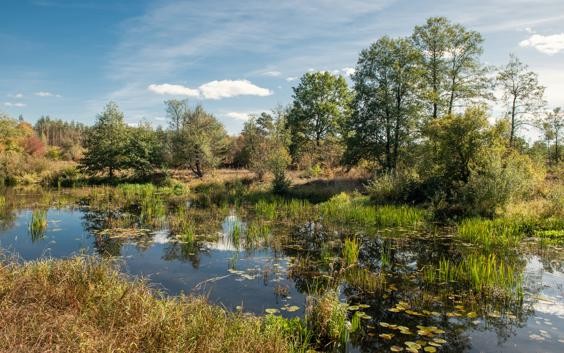 A picture of peatlands in Ukraine